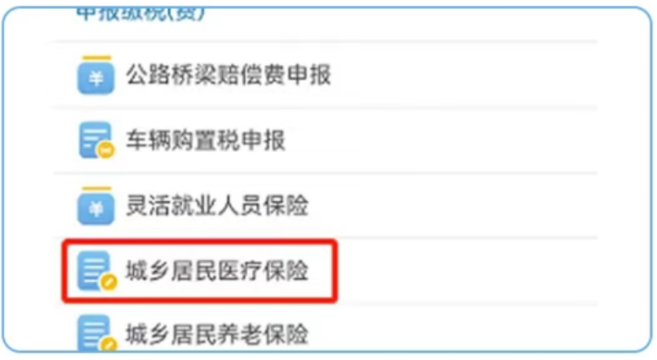 怒江最新医疗保险网上缴费流程方法分析(最方便真实的怒江医疗保险网上缴费流程图方法)